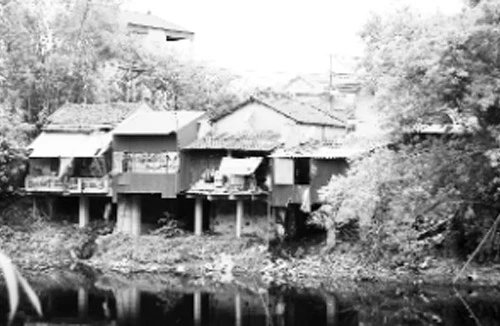 Năng lực yếu - vi phạm nhiều