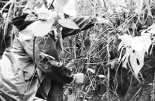 83 hộ dân thấp thỏm vì núi nứt