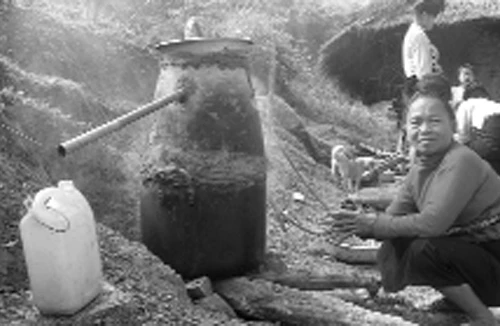 Nồng nàn rượu “tùng xẻo”