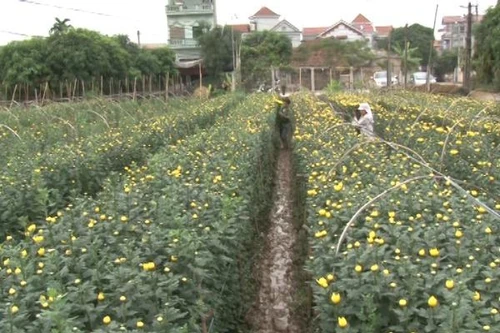 Nhân rộng mô hình giúp người lầm lỗi tái hòa nhập cộng đồng