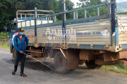 Đắk Lắk: Bùng phát dịch lở mồm long móng trên đàn gia súc