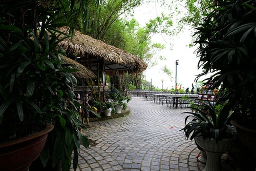 Kiểm tra, xử lý thông tin nhà hàng Tre Place vi phạm Luật Đê điều