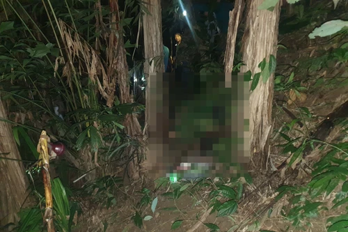 Bắn nhầm anh họ vì tưởng... thú rừng đang kiếm ăn 