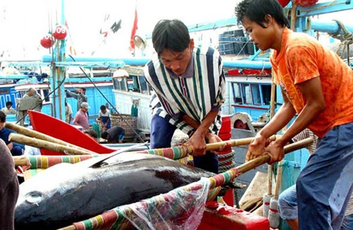 Miền Trung dồn dập đón bão