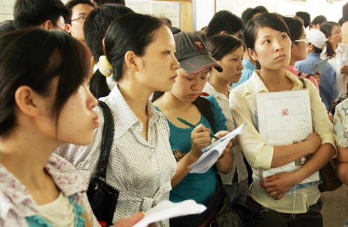 Ngợp với 68.000 cơ hội việc làm