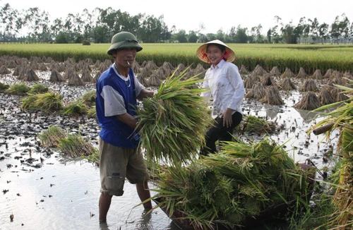 Tiếp thu góp ý kiến vào dự Luật Đất đai