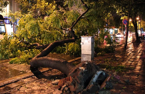 Giông nhiệt đột ngột, người đi đường khốn đốn