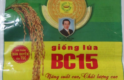 Sản xuất bao bì giả do thiếu hiểu biết