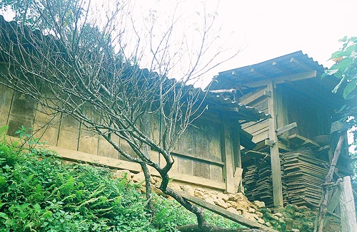 Lìm Mông - tứ đại hiểm địa 