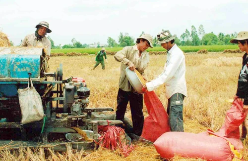 Tái cơ cấu nông nghiệp: Không chạy theo số lượng