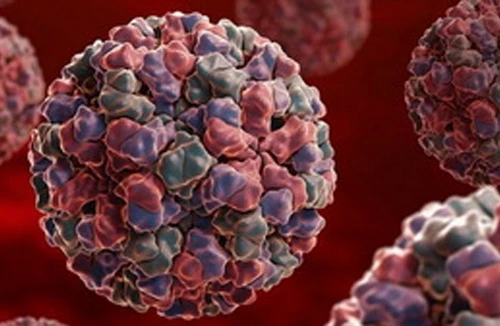 Nhật Bản: “Cúm dạ dày” bùng phát, 4 người tử vong 