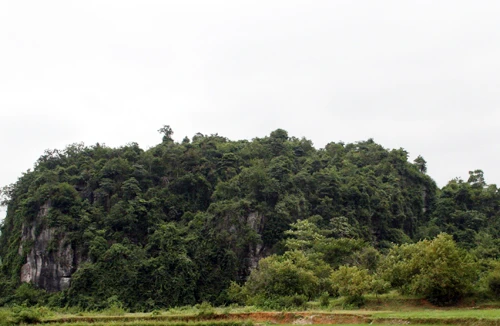 Bí mật “bùa sống” 