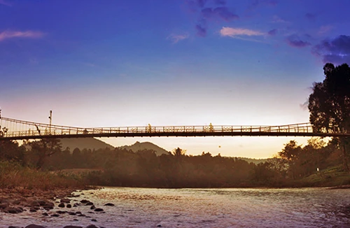 Sống đêm trong rừng Madaguoi