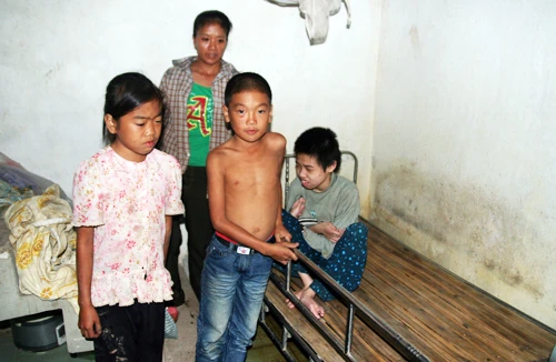 Mối nhân duyên của trái tim