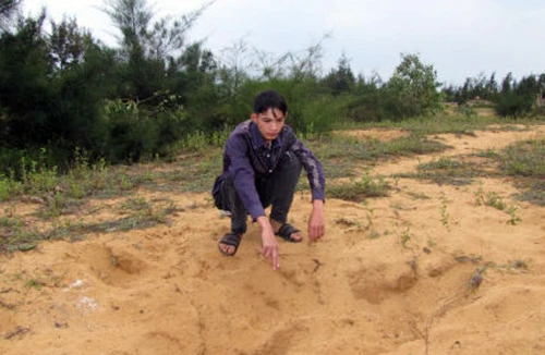 Bắt khẩn cấp 5 đối tượng chôn sống người để tra khảo