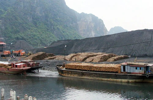 Tăng thuế để giữ tài nguyên