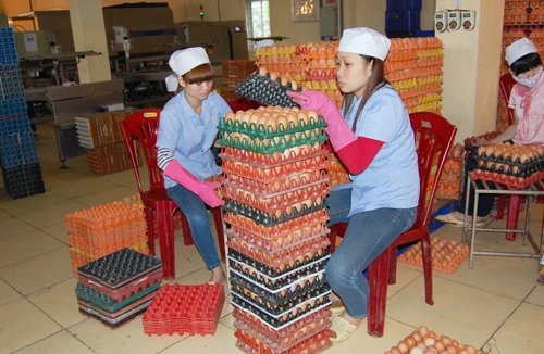 Hàng nội dư thừa, thực phẩm lậu vẫn tràn lan