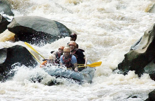 Vượt đại ngàn ở Chiang Mai