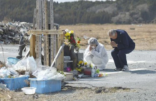 Đứng lên từ thảm họa