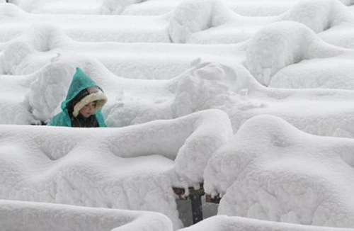 Thế giới đối mặt nhiều rủi ro