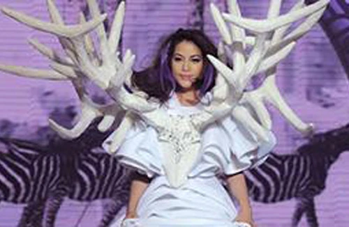 Trương Ngọc Ánh trở lại sàn Catwalk