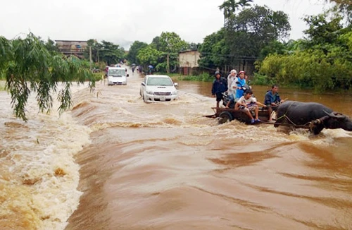 Biến đổi khí hậu đe dọa an ninh lương thực