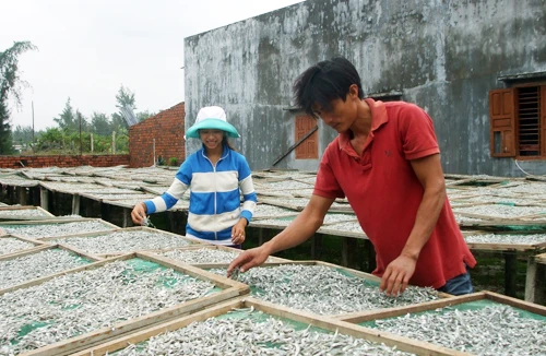 Tiếp tay vơ vét nông sản, phải phạt nặng