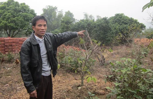 Quãng đời không đáng nhớ