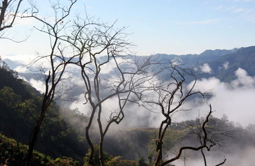 Cung đường mang hình Tổ quốc