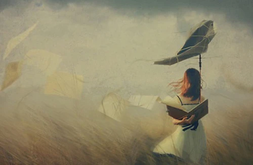 Nhiếp ảnh gia Việt Nam đoạt giải ảnh quốc tế