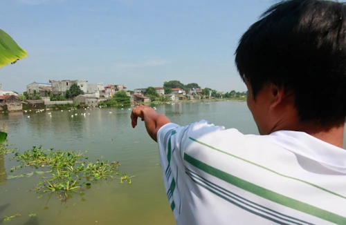 Nghi án mẹ giết con mới sinh, ném thi thể xuống đầm cá