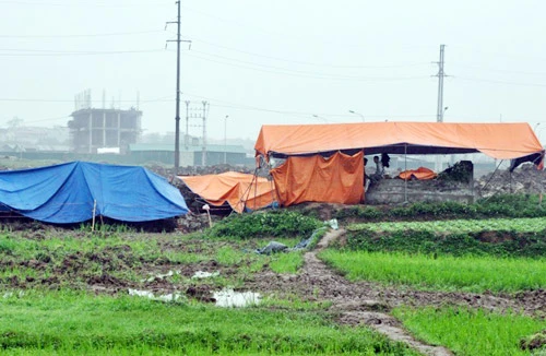 Vụ đào trộm mộ ở Hà Nam: Nhà đầu tư tưởng mộ hoang