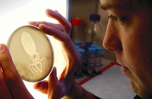 Nhìn rõ mọi vi khuẩn bằng mắt thường