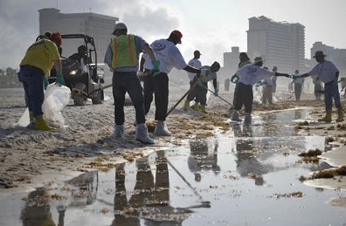 Thảm họa từ “siêu lợi nhuận”