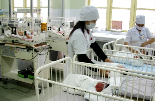 Bi hài chuyện “săn”... rắn