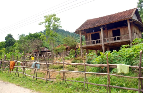 Ám ảnh nguy cơ tuyệt chủng