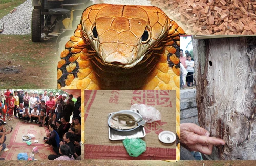 Báo động tình trạng lạm dụng văn hóa tâm linh