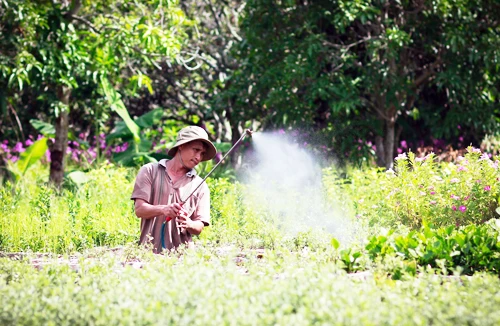 “Theo dấu người tình”