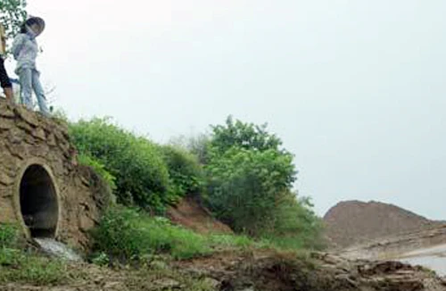 Tội phạm môi trường cần bị xử lý hình sự 