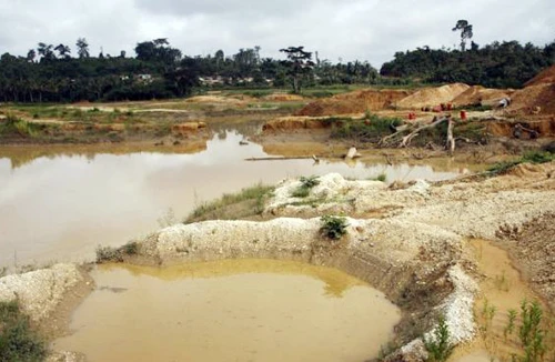 Bạc mặt đi tìm vàng