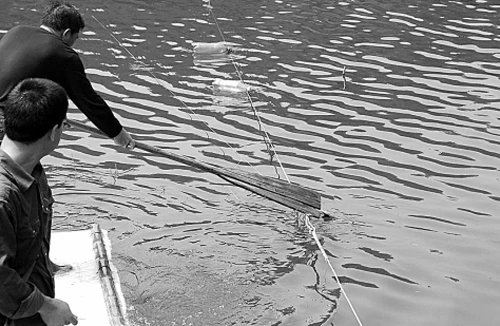 Vợ mê cờ bạc, bị chồng chặt xác phi tang