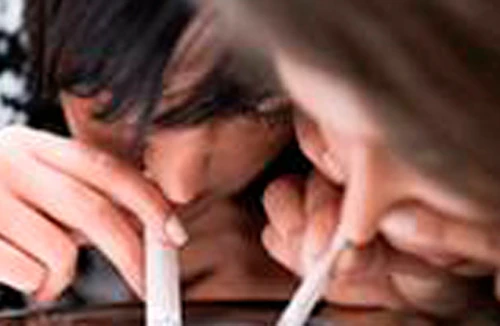 Trường học biến thành “chợ” ma túy!