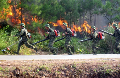 Khô hạn, xâm nhập mặn bao trùm 