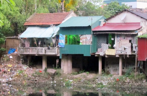 Đê sông Nhuệ đang bị "gặm nhấm"