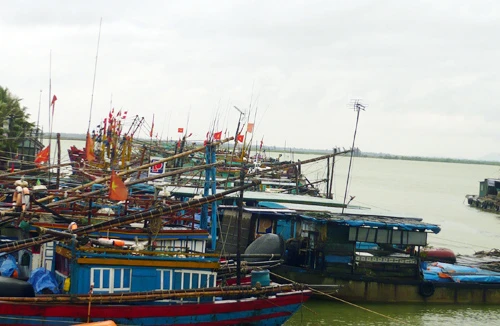 Tổ chức cứu tàu cá chạy bão gặp nạn