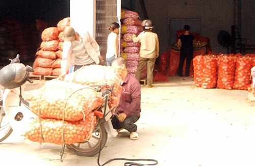Nông sản Trung Quốc tập kết ở Bắc Ninh: Thua trên sân nhà