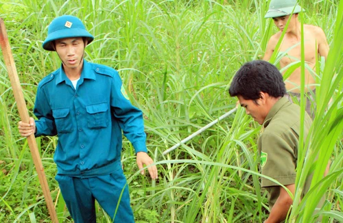 Kinh hoàng trước đàn chó lạ, nghi mắc bệnh dại