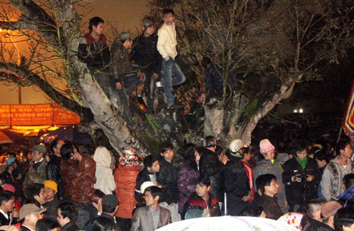 Loay hoay đưa lễ hội vào quy củ