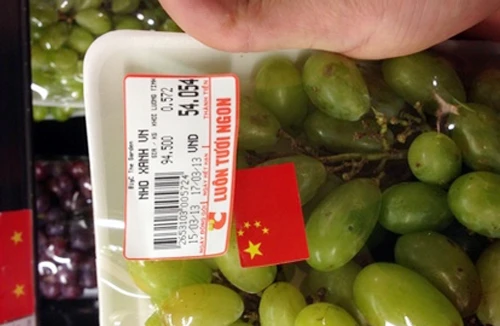 Nho xanh, lập lờ xuất xứ 