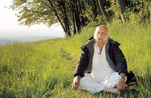 Sống hàng chục năm chỉ cần ăn nắng, phơi sương?